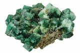 Fluorite Crystal Cluster - Rogerley Mine #143061-2